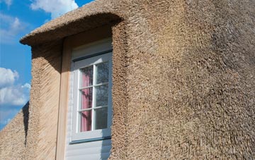 Moorend thatch roof disadvantages